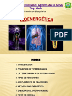 8 Bioenergetica