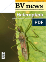 Suborden Heteroptera