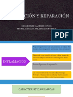 Inflamación y Reparación