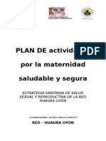 PLAN - DE ACTIVIDADES Maternidad Saludable y Segura