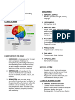 Brain Other Parts 1. Cerebral Cortex: 1. Central Nervous System