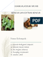 Farmakognosi Rimpang Kencur