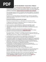 Funciones Del Jefe de Seguridad y Salud en El Trabajo