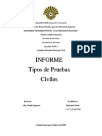 Tipos de Prueba-Procesal Civil