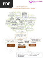 Arbol de Problemas Determinantes Sociales en La Vejez