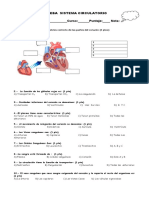 Evaluacion Sistema Circulatorio 5to