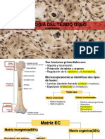 Histologia Osea