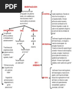 Descentralizacion 1