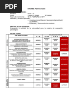 Informe Cumanin