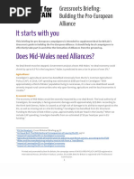 Best For Britain - Wales Mid - Pro-EU Alliance Regional Briefing