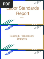 Labor Standards Report-4