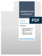 Fermentacion Alcoholicaa