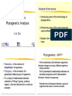 Phylogenetics PDF