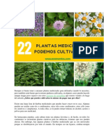 22 Plantas Curativas