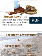 NatRes PPT 04 Brown Laws PDF