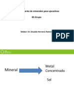 Procesamiento de Minerales para Ejecutivos BS Grupo: Relator: Dr. Osvaldo Herreros Romero