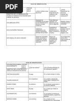 GUIA DE OBSERVACIÓN Unidad 4