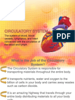 The System of Blood, Blood Vessels, Lymphatics, and Heart Concerned With The Circulation of The Blood and Lymph