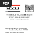 Uvm Linea