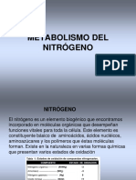 Metabolismo Del Nitrogeno