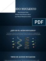 Ácido Nucleico