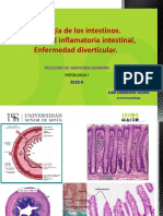 Uss 2018-II. - Patologia Intestinal Baja, Tumores. - 05 Noviembre 2018