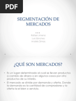 Segmentación Demográfica