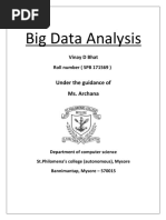 Big Data Analysis Report