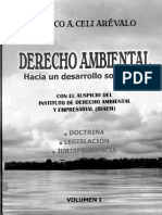 Derecho Ambiental Hacia Un Desarrollo Sostenido (Marco A. Celi Arevalo)