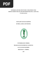 Determinación Del Efecto Del Ultrasonido Como Pretratamiento Del Secado Por Microondas de La Ahuyama