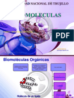 Biomoleculas I