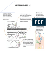 INFOGRAFIA