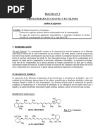 Practica #5 Cromatografía en Capa Fina Y en Columna: Análisis de Pigmentos