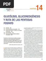 Glucolisis