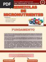 PREMEZCLAS Formulacion