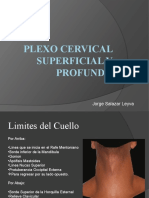 Plexo Cervical Superficial y Profundo