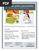 Dieta de Protección Gastroduodenal PDF