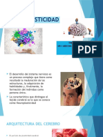 Neuroplasticidad Gonzalo