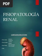 FSP Renal Fisiopatologia Renal Base