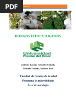 Libro de Hongos Fitopatgenos