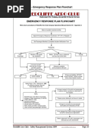 Emergency Response Plan Flow Chart