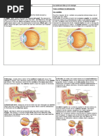 Science Resumen