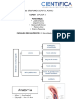 Sindrome Escrotal Agudo