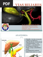 Semiiologia Basica