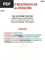 Bases Biológicas de La Atención