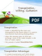 Transpiration Resource