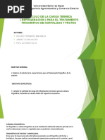 Calculo de La Carga Termica de La Papaya