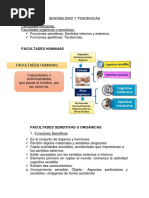 Sensibilidad y Tendencias