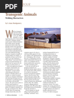 Transgenic Animals: Walking Bioreactors