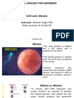 Bm101: Biology For Engineers: Instructor: Yashveer Singh, PHD